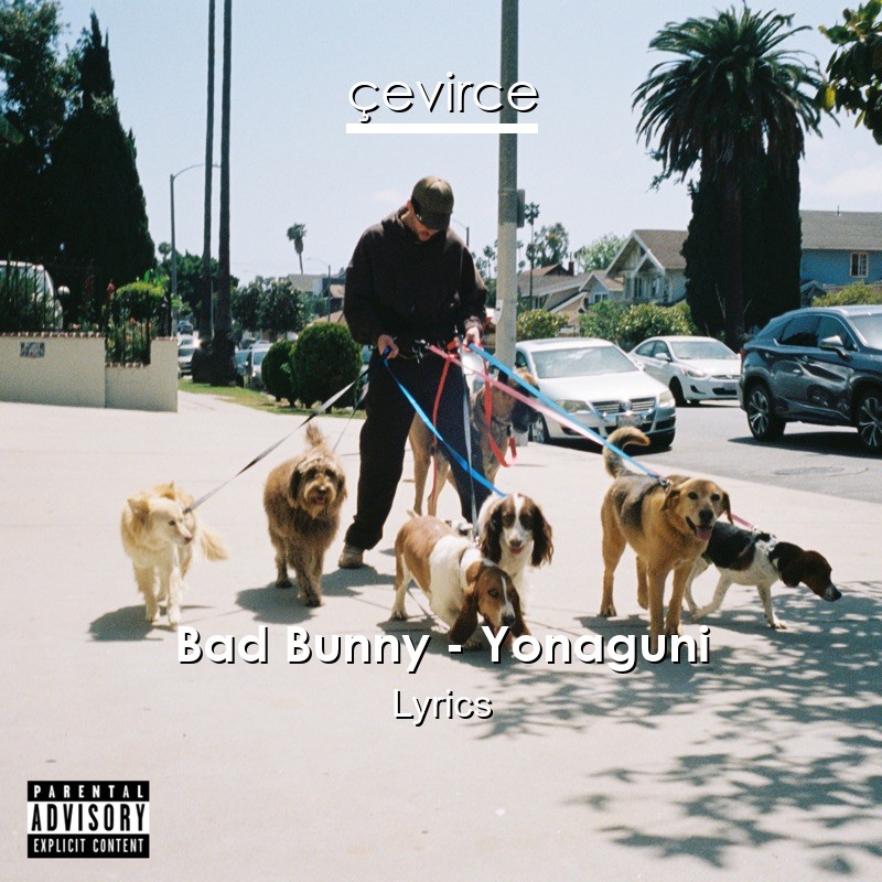 Bad Bunny – Yonaguni Lyrics