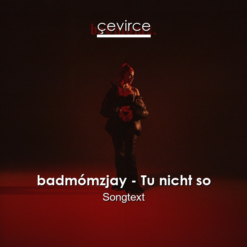 badmómzjay – Tu nicht so Songtext