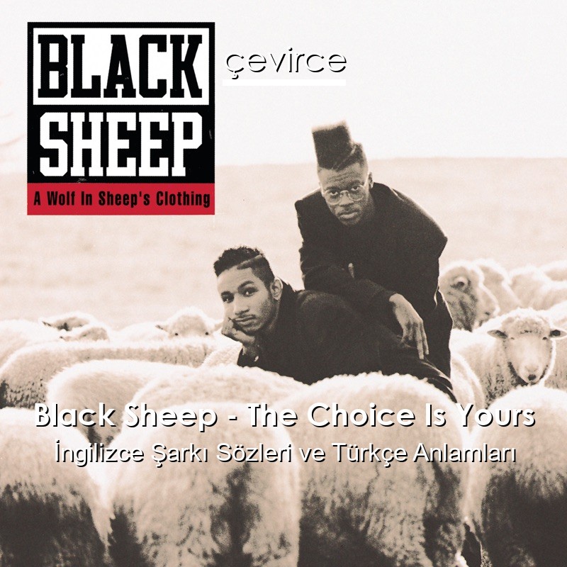 Black Sheep – The Choice Is Yours İngilizce Şarkı Sözleri Türkçe Anlamları