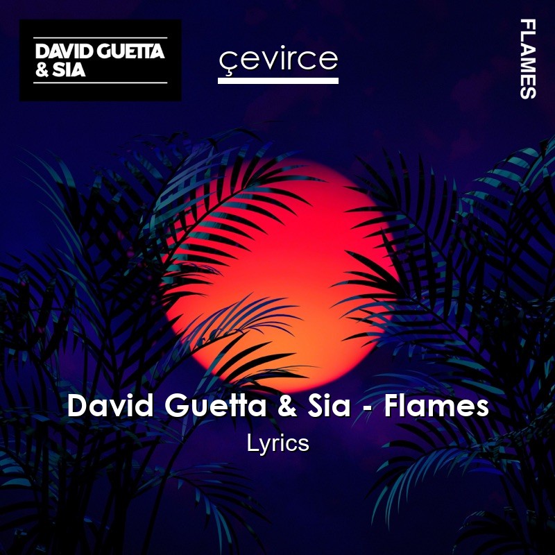 David Guetta & Sia – Flames Lyrics