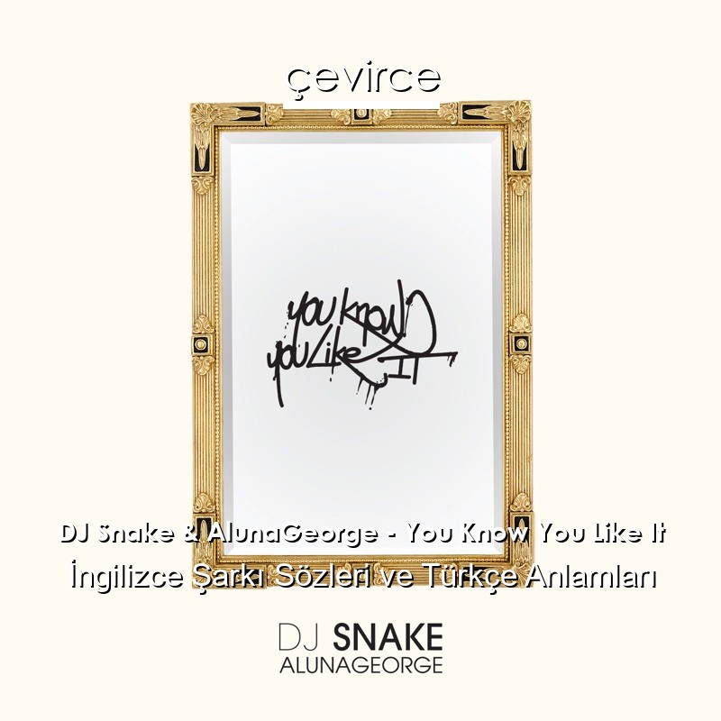 DJ Snake & AlunaGeorge – You Know You Like It İngilizce Şarkı Sözleri Türkçe Anlamları