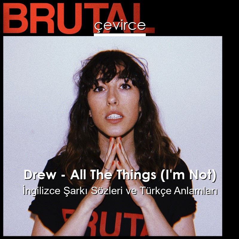 Drew – All The Things (I’m Not) İngilizce Şarkı Sözleri Türkçe Anlamları