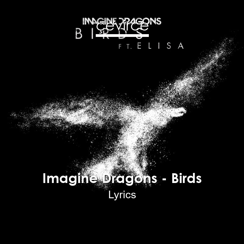 Imagine Dragons – Birds Lyrics