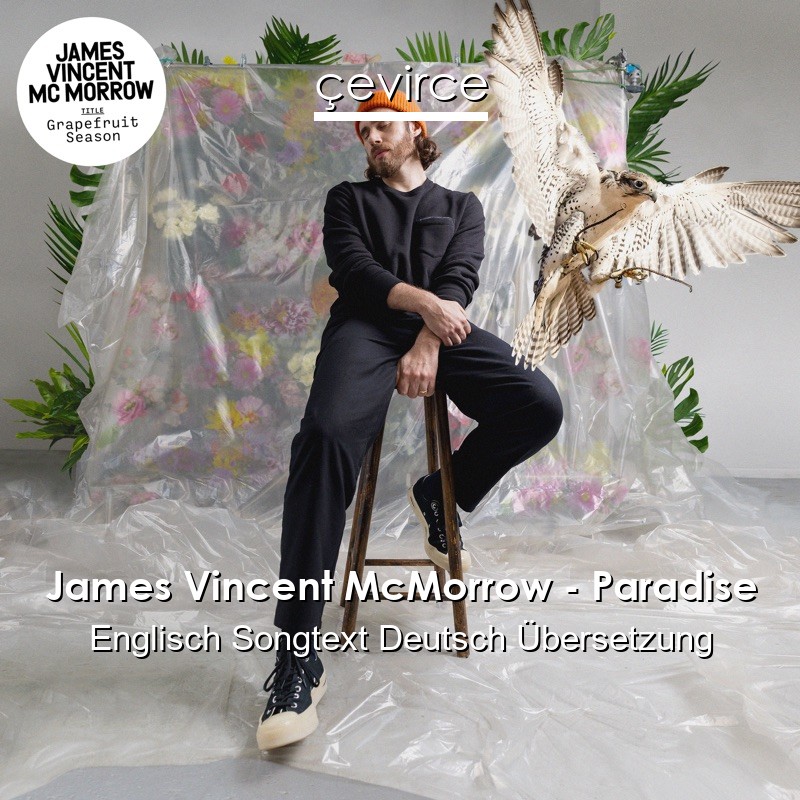 James Vincent McMorrow – Paradise Englisch Songtext Deutsch Übersetzung