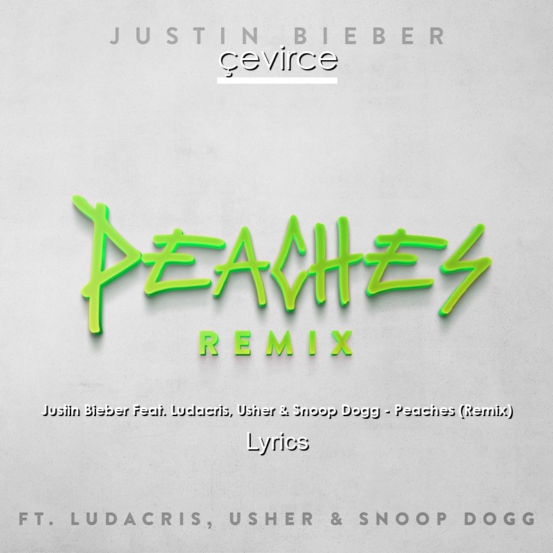 Justin Bieber Feat. Ludacris, Usher & Snoop Dogg – Peaches (Remix) Lyrics