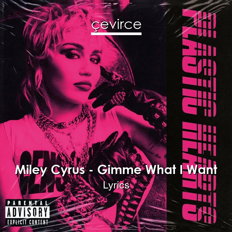 Miley Cyrus – Gimme What I Want Lyrics