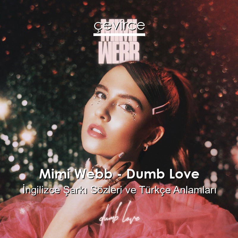 Mimi Webb – Dumb Love İngilizce Şarkı Sözleri Türkçe Anlamları