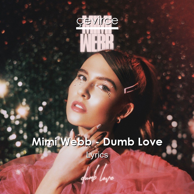 Mimi Webb – Dumb Love Lyrics