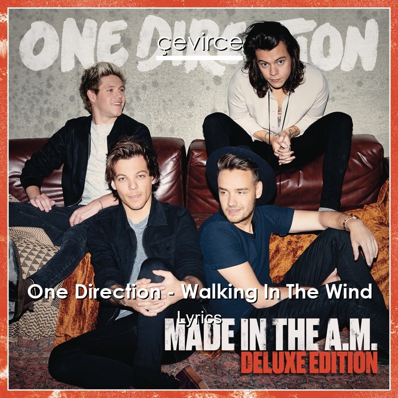 One Direction – Walking In The Wind Lyrics