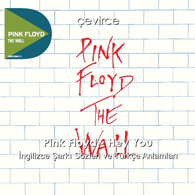 Pink Floyd – Hey You İngilizce Şarkı Sözleri Türkçe Anlamları