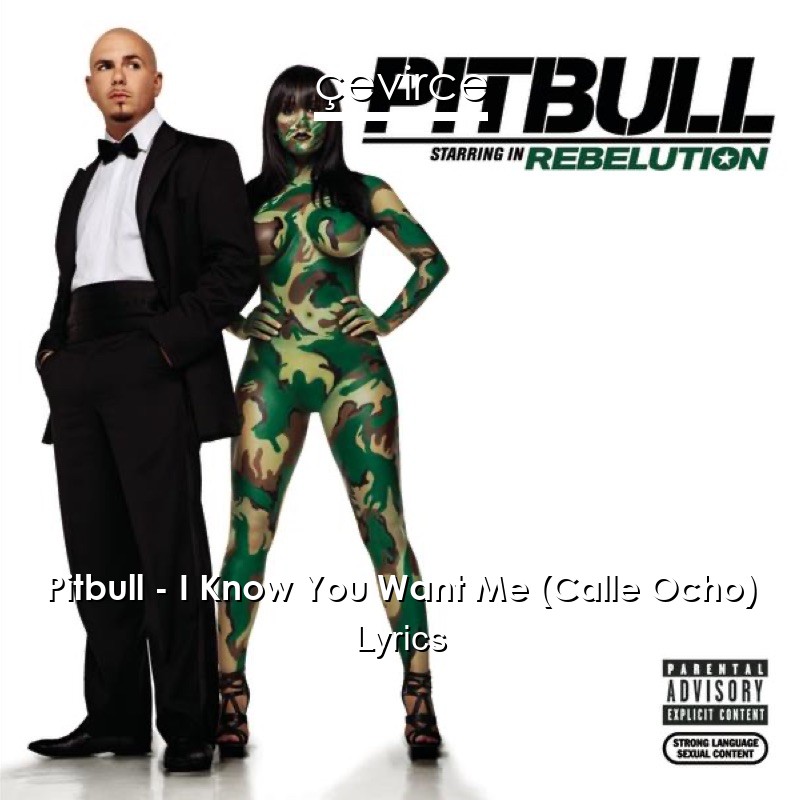 Pitbull – I Know You Want Me (Calle Ocho) Lyrics