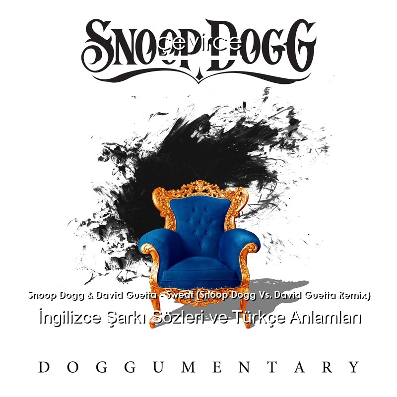 Snoop Dogg & David Guetta – Sweat (Snoop Dogg Vs. David Guetta Remix) İngilizce Şarkı Sözleri Türkçe Anlamları