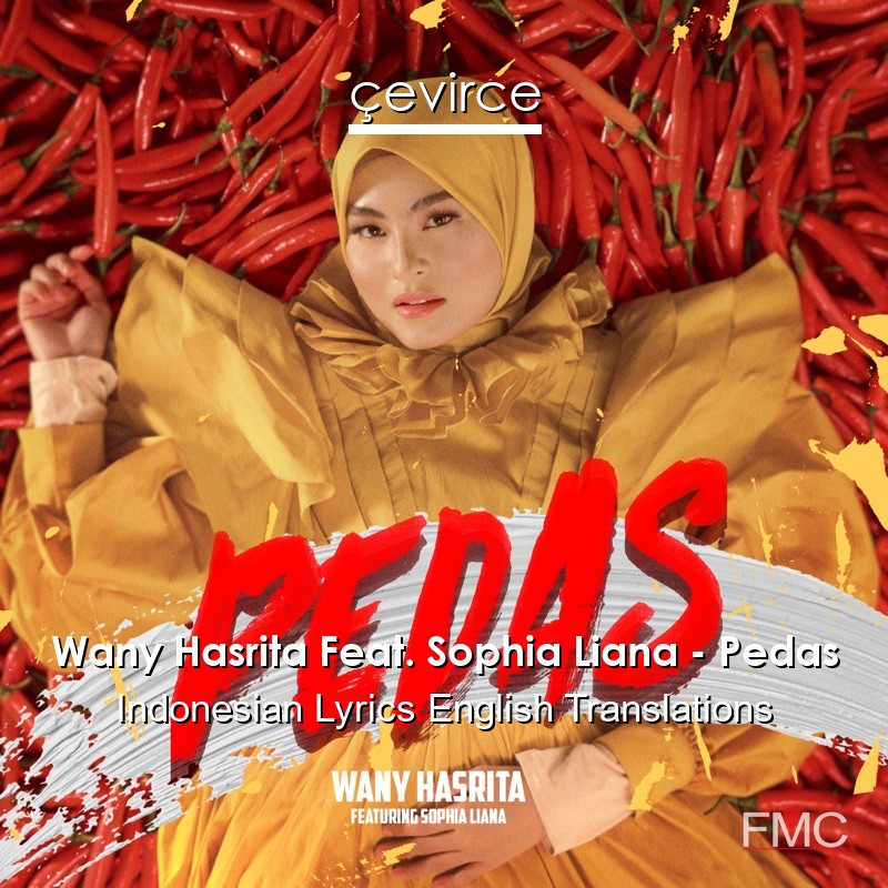 Wany Hasrita Feat. Sophia Liana – Pedas Indonesian Lyrics English Translations