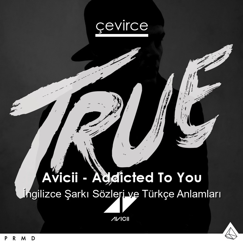 Avicii – Addicted To You İngilizce Şarkı Sözleri Türkçe Anlamları