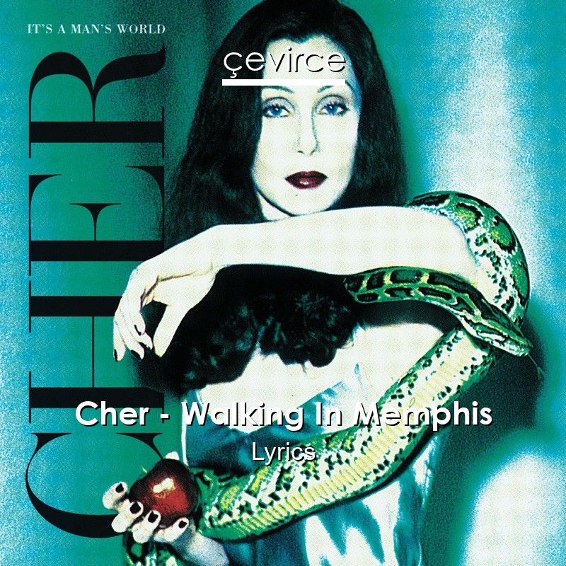 Cher – Walking In Memphis Lyrics