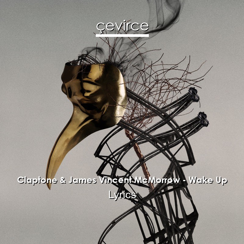 Claptone & James Vincent McMorrow – Wake Up Lyrics