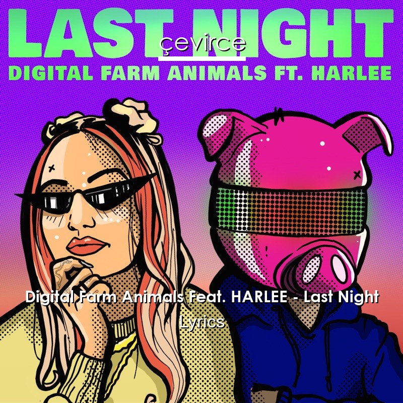 Digital Farm Animals Feat. HARLEE – Last Night Lyrics