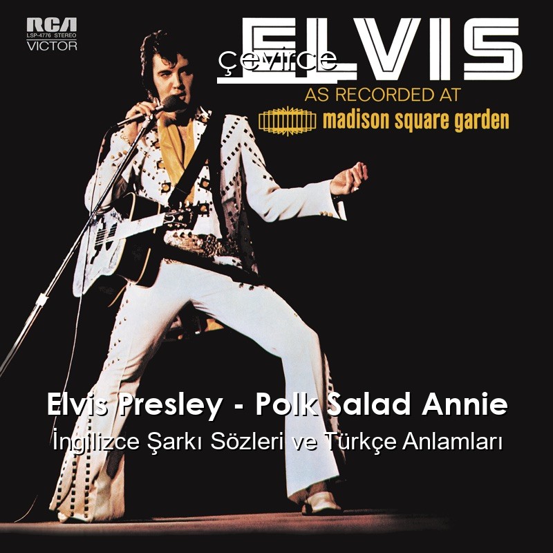 Elvis Presley – Polk Salad Annie İngilizce Şarkı Sözleri Türkçe Anlamları