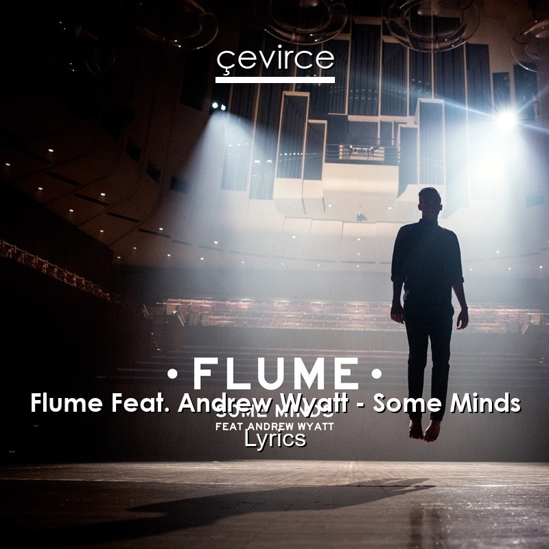 Flume Feat. Andrew Wyatt – Some Minds Lyrics