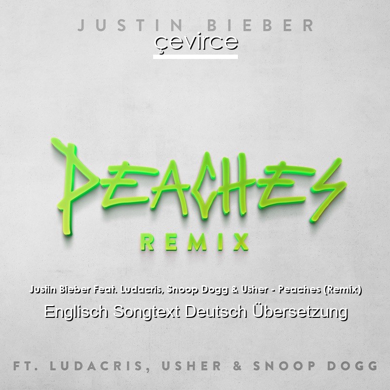 Justin Bieber Feat. Ludacris, Snoop Dogg & Usher – Peaches (Remix) Englisch Songtext Deutsch Übersetzung