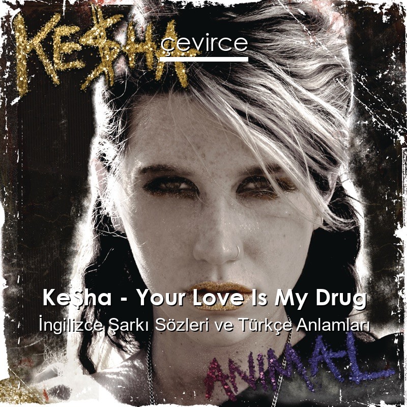 Ke$ha – Your Love Is My Drug İngilizce Şarkı Sözleri Türkçe Anlamları