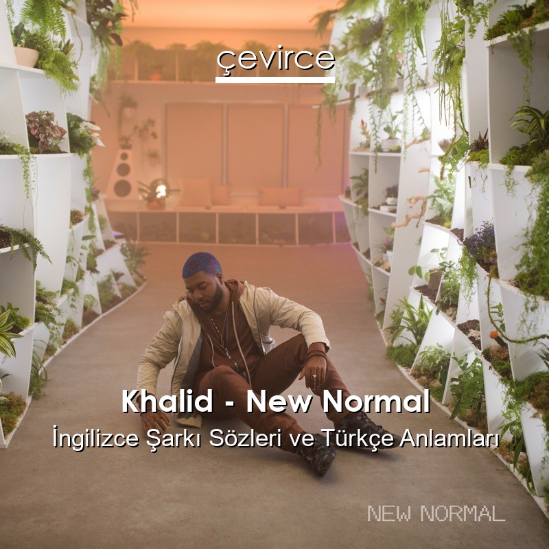 Khalid – New Normal İngilizce Şarkı Sözleri Türkçe Anlamları