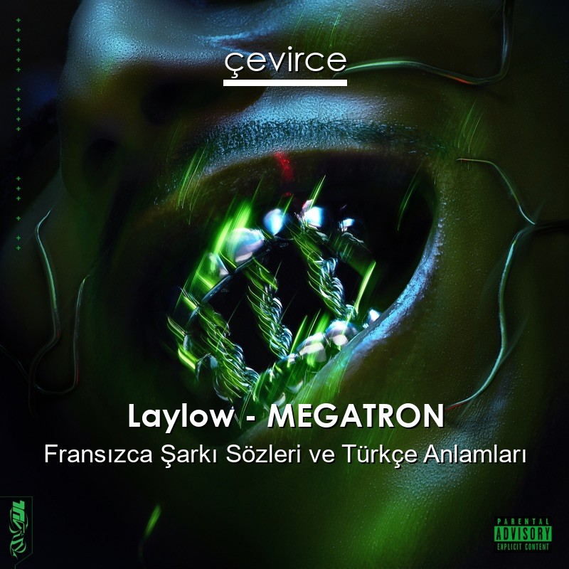 Laylow – MEGATRON Fransızca Şarkı Sözleri Türkçe Anlamları