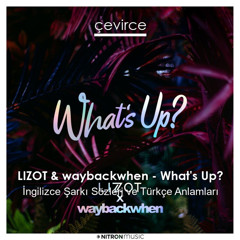 LIZOT & waybackwhen – What’s Up? İngilizce Şarkı Sözleri Türkçe Anlamları