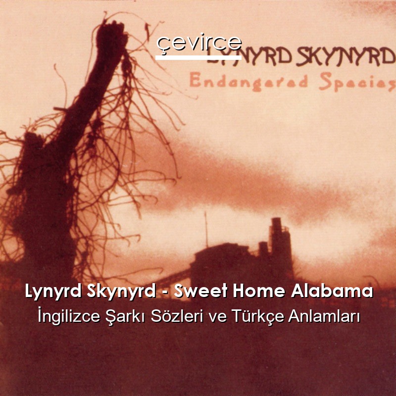 Lynyrd Skynyrd – Sweet Home Alabama İngilizce Şarkı Sözleri Türkçe Anlamları