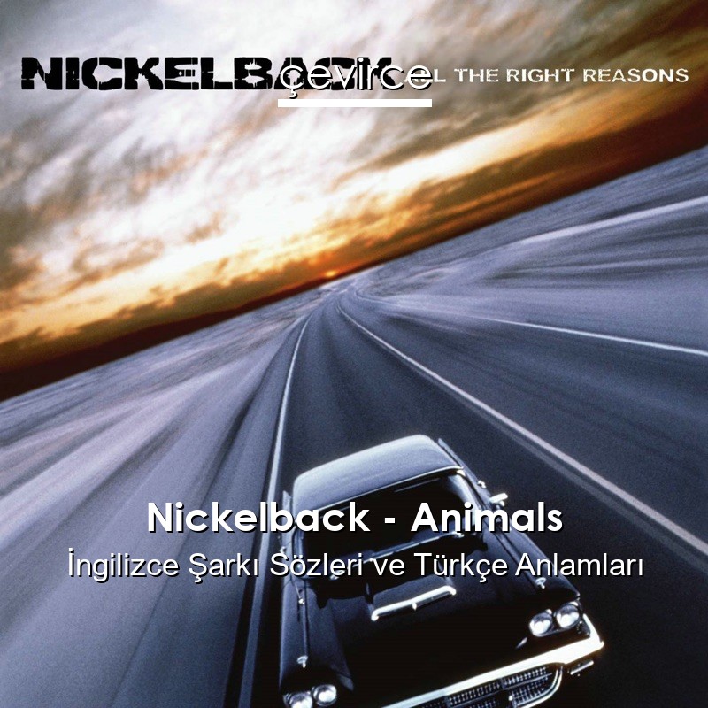 Nickelback – Animals İngilizce Şarkı Sözleri Türkçe Anlamları