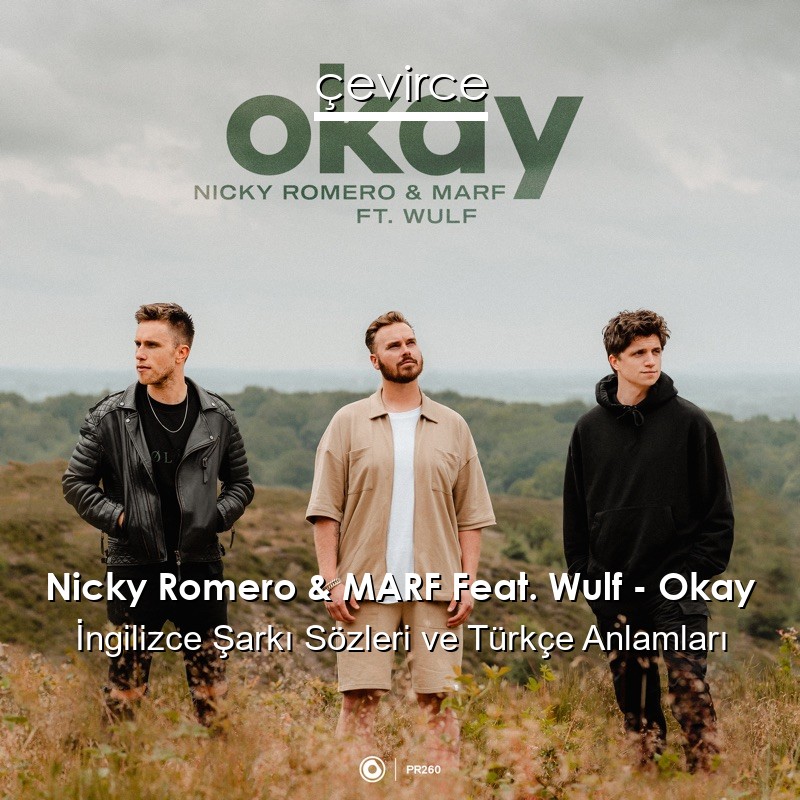 Nicky Romero & MARF Feat. Wulf – Okay İngilizce Şarkı Sözleri Türkçe Anlamları