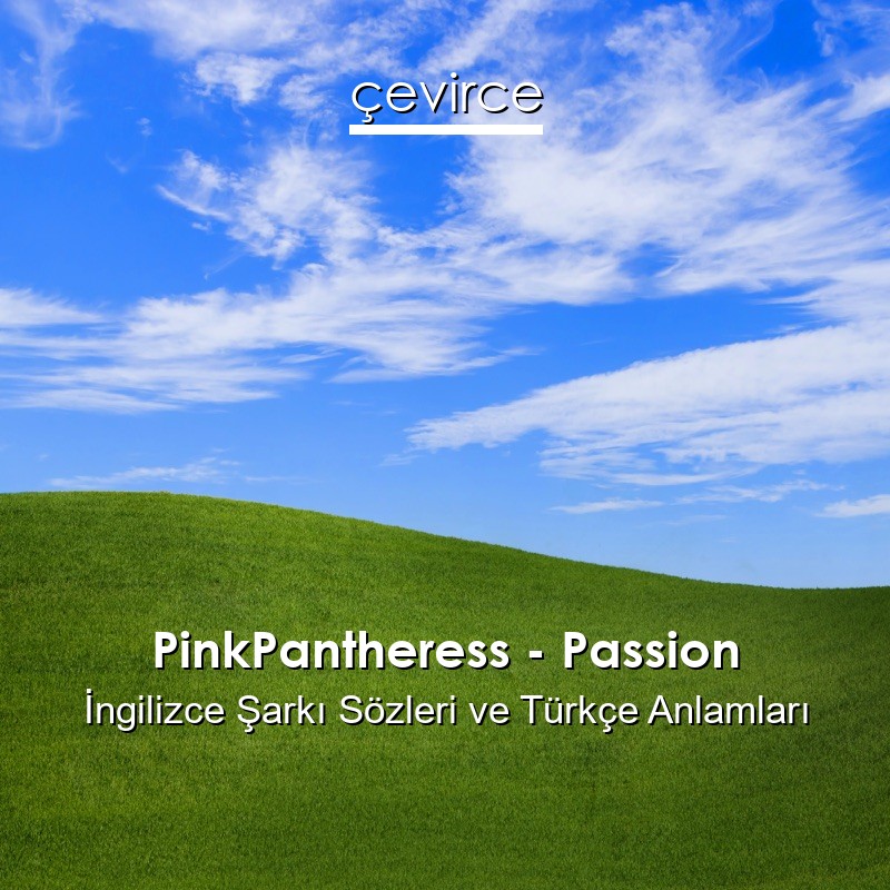 PinkPantheress – Passion İngilizce Şarkı Sözleri Türkçe Anlamları