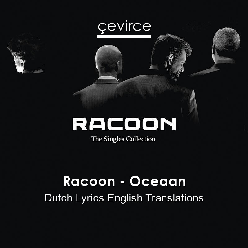 Racoon – Oceaan Dutch Lyrics English Translations