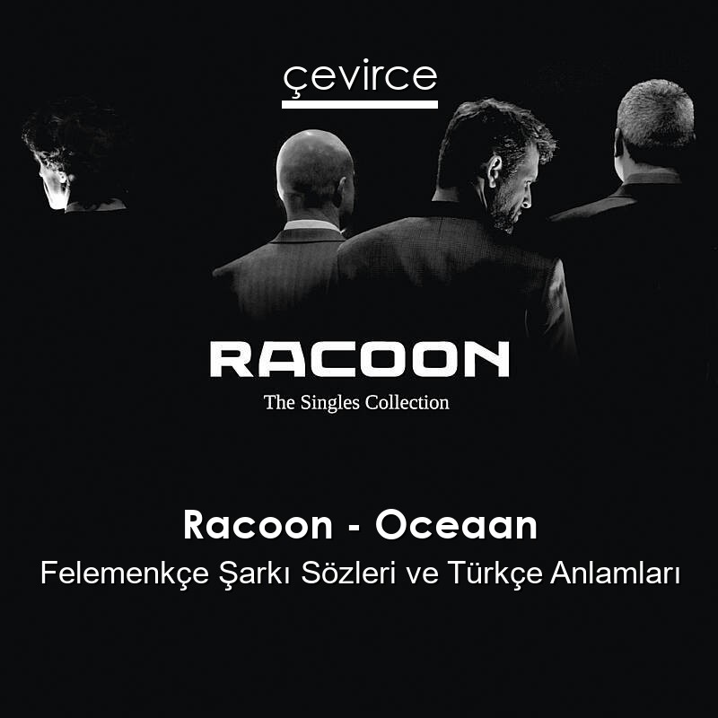 Racoon – Oceaan Felemenkçe Şarkı Sözleri Türkçe Anlamları