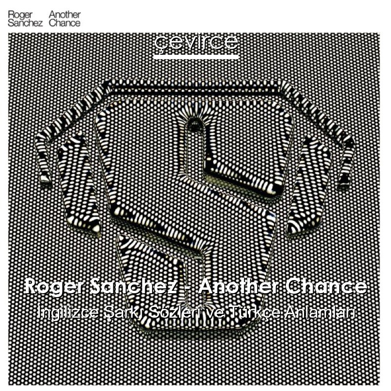 Roger Sanchez – Another Chance İngilizce Şarkı Sözleri Türkçe Anlamları