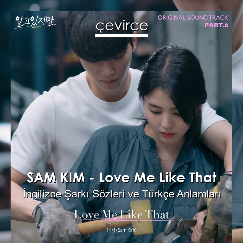 SAM KIM – Love Me Like That İngilizce Şarkı Sözleri Türkçe Anlamları