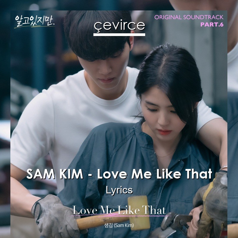 SAM KIM – Love Me Like That Lyrics