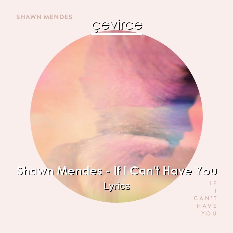 Shawn Mendes – If I Can’t Have You Lyrics