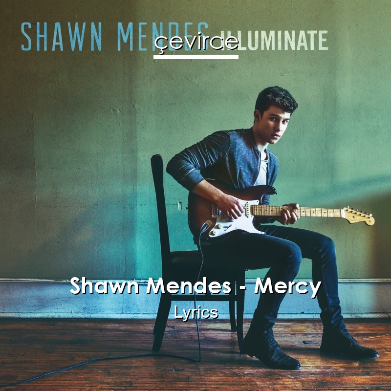 Shawn Mendes – Mercy Lyrics