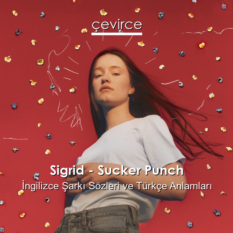 Sigrid – Sucker Punch İngilizce Şarkı Sözleri Türkçe Anlamları