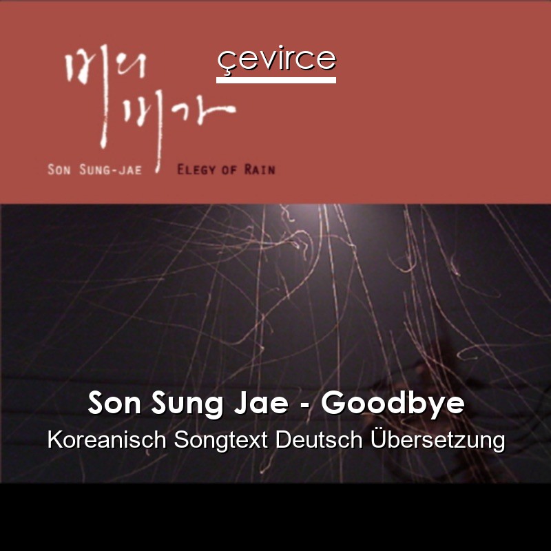 Son Sung Jae – Goodbye Koreanisch Songtext Deutsch Übersetzung