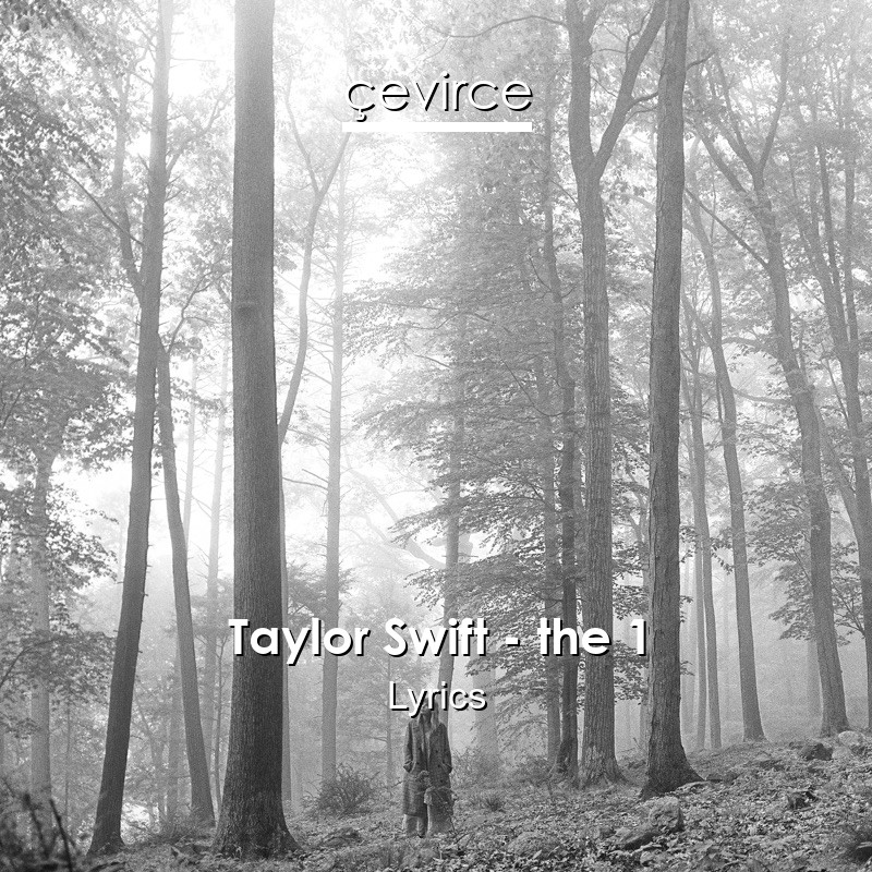 Taylor Swift – the 1 Lyrics