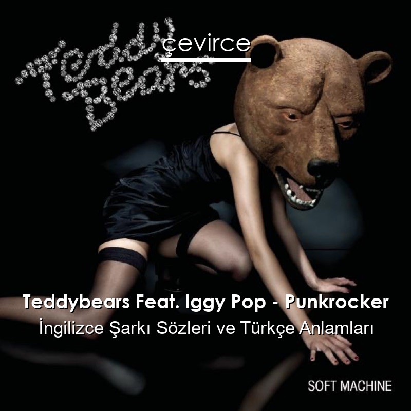 Teddybears Feat. Iggy Pop – Punkrocker İngilizce Şarkı Sözleri Türkçe Anlamları