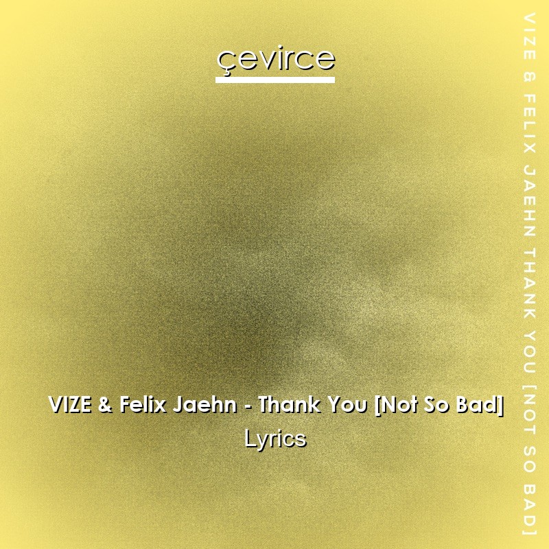 VIZE & Felix Jaehn – Thank You [Not So Bad] Lyrics