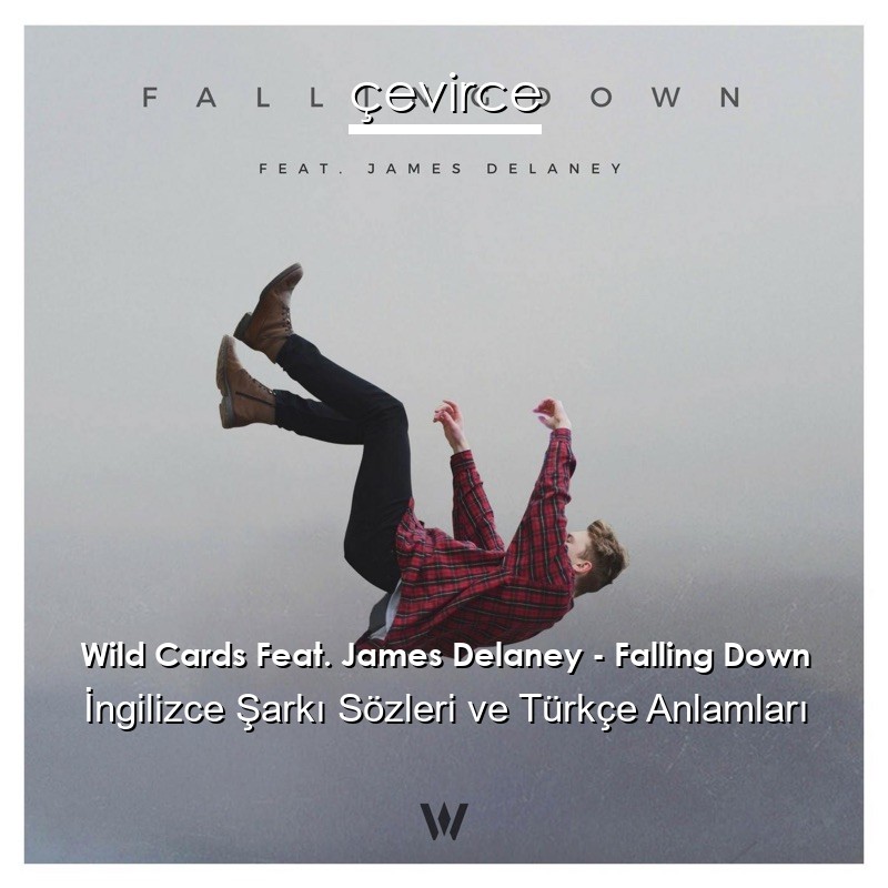 Wild Cards Feat. James Delaney – Falling Down İngilizce Şarkı Sözleri Türkçe Anlamları