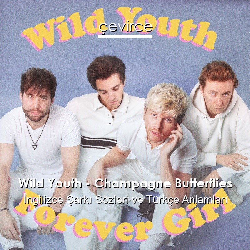 Wild Youth – Champagne Butterflies İngilizce Şarkı Sözleri Türkçe Anlamları