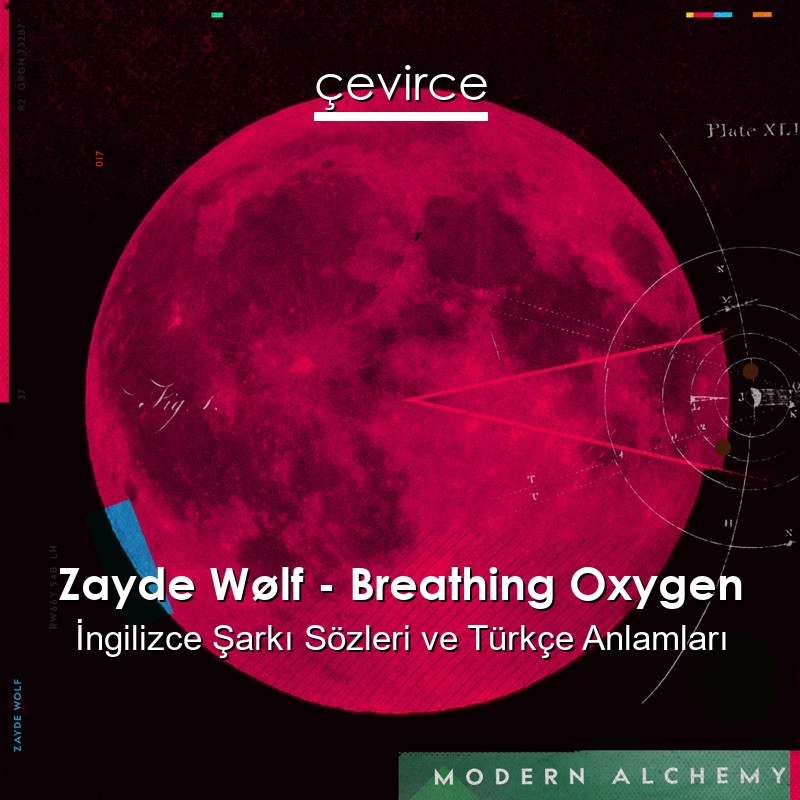 Zayde Wølf – Breathing Oxygen İngilizce Şarkı Sözleri Türkçe Anlamları