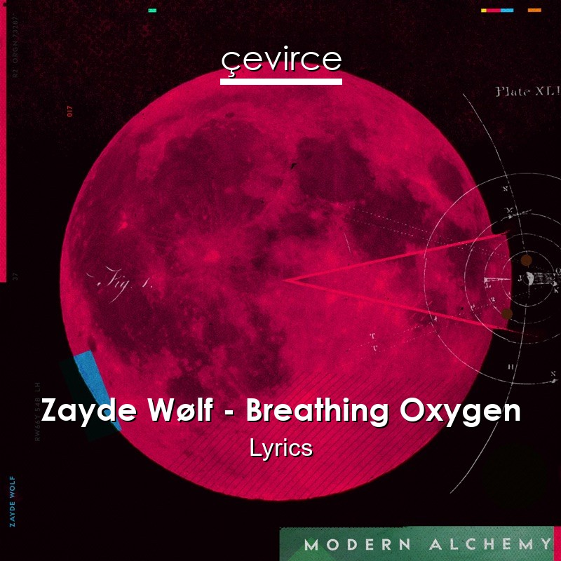 Zayde Wølf – Breathing Oxygen Lyrics