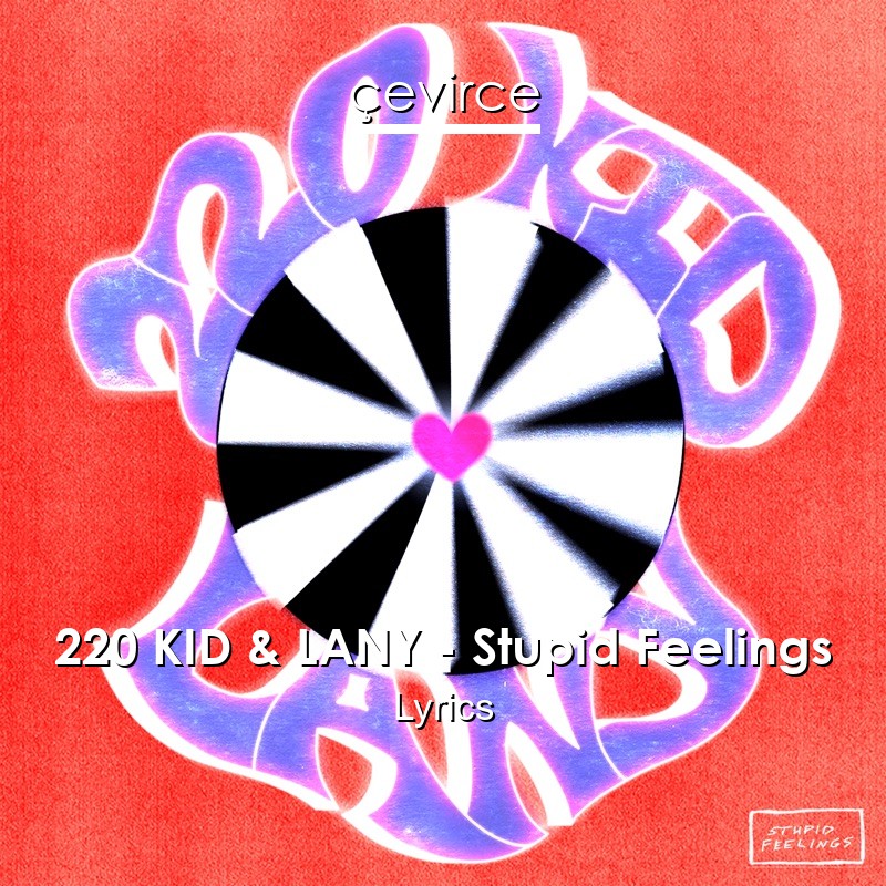 220 KID & LANY – Stupid Feelings Lyrics