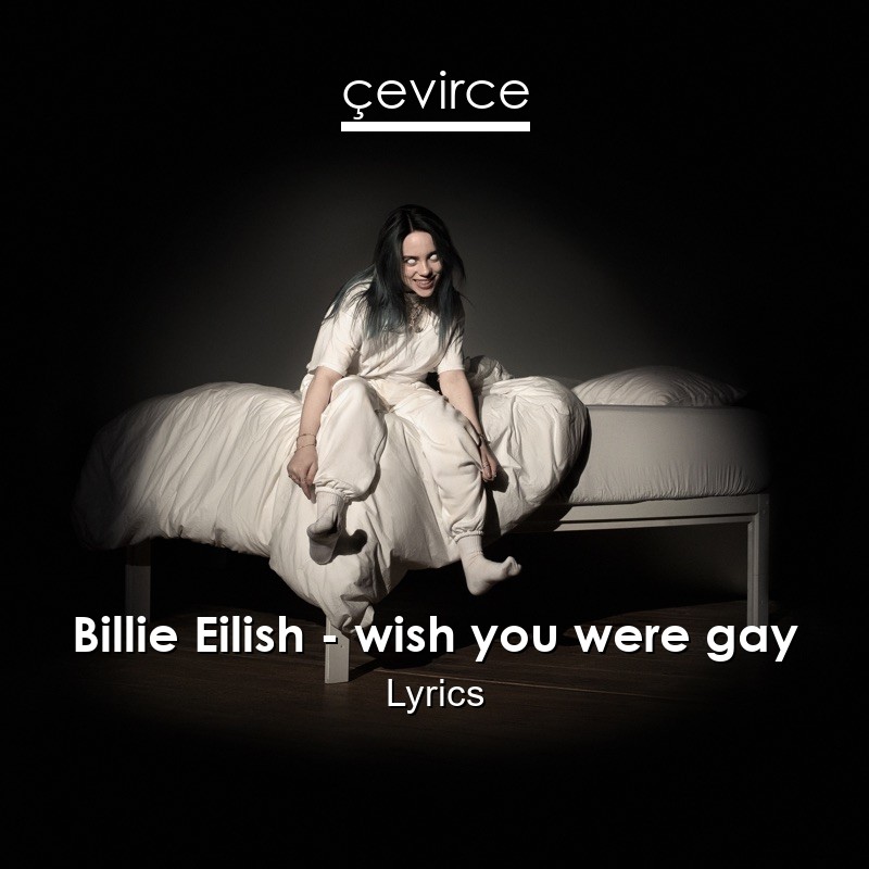 Billie Eilish – wish you were gay Lyrics